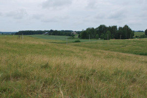 Parduodamas sklypas Griežionėlių k., Anykščių r. sav., 2578.00 a ploto 7