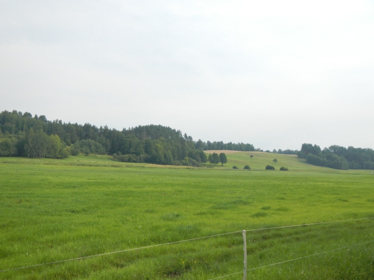 Parduodamas  sklypas Prienų r. sav., Mačiūnų k., Kauno, 60.03 a ploto 7
