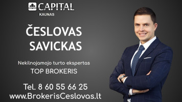 Nuomojamos administracinės, kitos paskirties, paslaugų, prekybos patalpos Laisvės al., Centras, Kauno m., Kauno m. sav., 50 m2 ploto 32