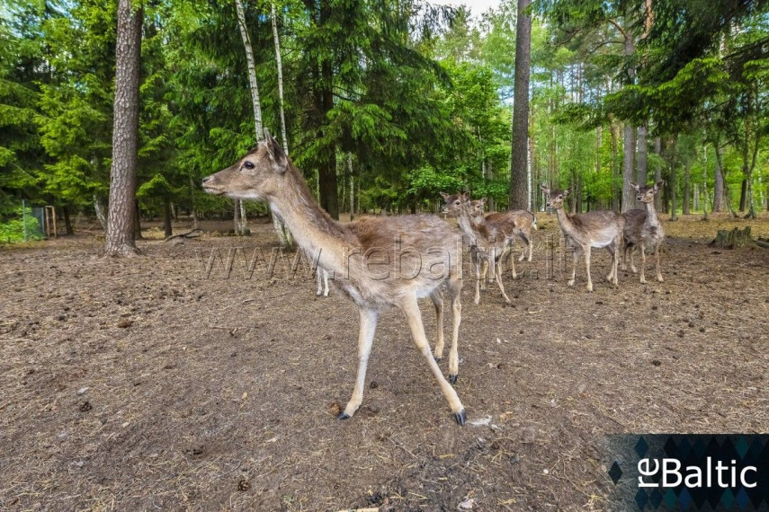 Parduodamas namas Nemenčinės pl., Nemenčinės pl., Vilniaus m., Vilniaus m. sav., 334 m2 ploto, 2 aukštai 2