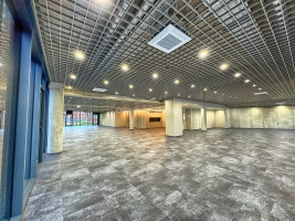 Nuomojamos administracinės, kitos paskirties, maitinimo patalpos Juozapavičiaus pr. , Ž. Šančiai, Kauno m., Kauno m. sav., 218.97 m2 ploto 5