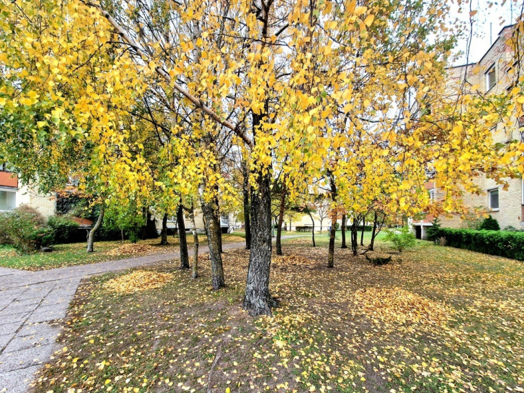 Parduodamas butas Bangų g., , Palangoje, 52 kv.m ploto 2
