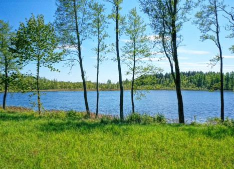 Parduodamas namas Gaidės k., Ignalinos r. sav., 79.00 m² ploto 3 kambariai