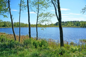 Parduodamas namas Gaidės k., Ignalinos r. sav., 79.00 m² ploto 3 kambariai 3