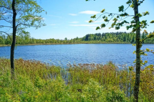 Parduodamas namas Gaidės k., Ignalinos r. sav., 79.00 m² ploto 3 kambariai 4