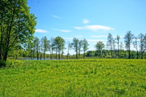Parduodamas namas Gaidės k., Ignalinos r. sav., 79.00 m² ploto 3 kambariai 9
