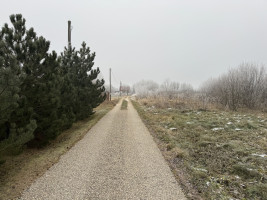 Šis sklypas puikus pasirinkimas jūsų naujam namui statyti. 3