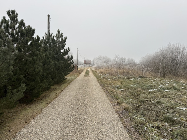 Šis sklypas puikus pasirinkimas jūsų naujam namui statyti. 3