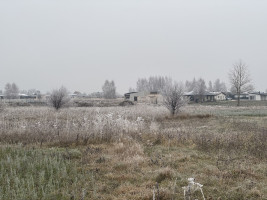 Šis sklypas puikus pasirinkimas jūsų naujam namui statyti. 9