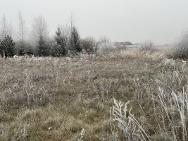 Šis sklypas puikus pasirinkimas jūsų naujam namui statyti. 10