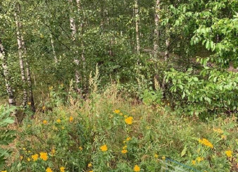 Parduodamas  sklypas Gerduvėnų k., Klaipėdos r. sav., 25 a ploto