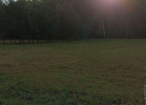 Parduodamas  sklypas Lėbartų k., Klaipėdos r. sav., 20 a ploto