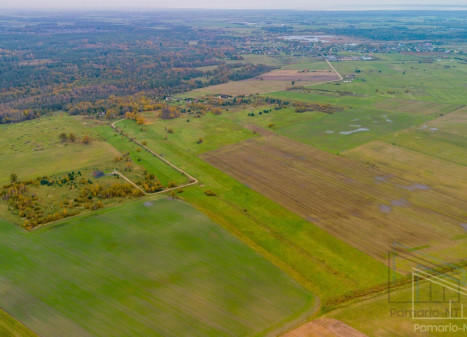 Parduodamas  sklypas Ruslių k., Klaipėdos r. sav., 901 a ploto