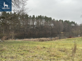 Parduodamas namas Gojaus g., Neravų k., Druskininkų sav., 233.41 m2 ploto, 2 aukštai 14