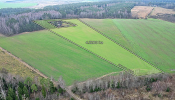 Parduodamas  sklypas Darsūniškio k., Kaišiadorių r. sav., 432 a ploto 3
