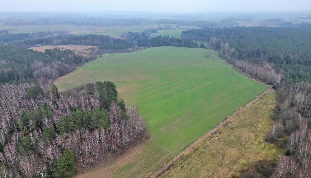 Parduodamas  sklypas Darsūniškio k., Kaišiadorių r. sav., 432 a ploto 7