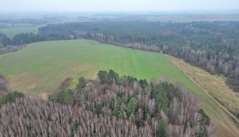 Parduodamas  sklypas Darsūniškio k., Kaišiadorių r. sav., 432 a ploto 8