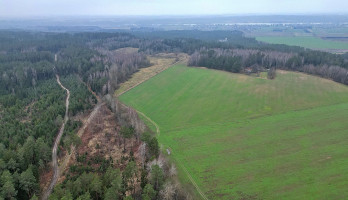 Parduodamas  sklypas Darsūniškio k., Kaišiadorių r. sav., 432 a ploto 11