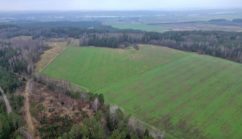 Parduodamas  sklypas Darsūniškio k., Kaišiadorių r. sav., 432 a ploto 14