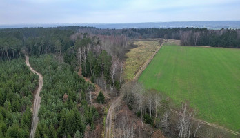 Parduodamas  sklypas Darsūniškio k., Kaišiadorių r. sav., 432 a ploto 19