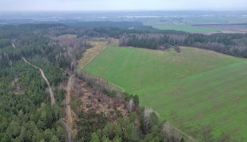 Parduodamas  sklypas Darsūniškio k., Kaišiadorių r. sav., 432 a ploto 20