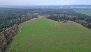 Parduodamas  sklypas Darsūniškio k., Kaišiadorių r. sav., 432 a ploto 21