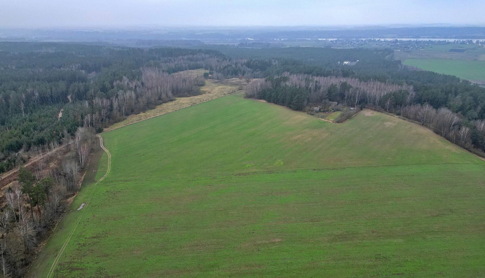 Parduodamas  sklypas Darsūniškio k., Kaišiadorių r. sav., 432 a ploto 21
