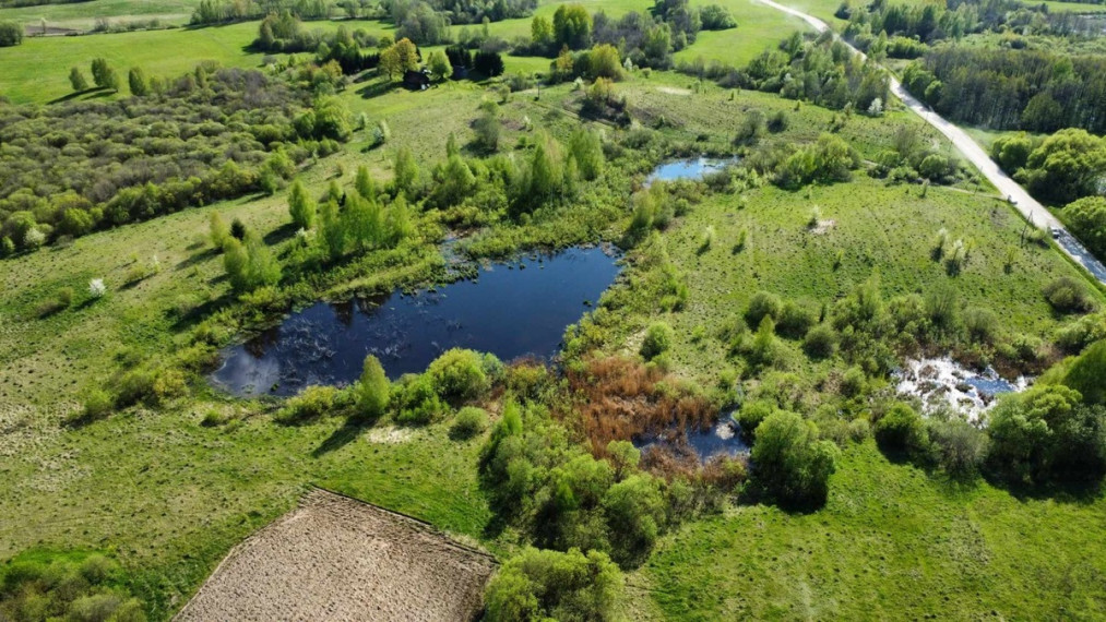 Parduodamas sklypas Kibučių k., Kaišiadorių r. sav., 1410 a ploto 1