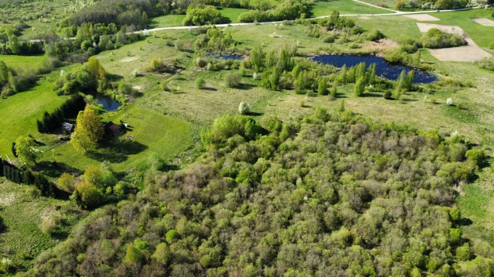 Parduodamas sklypas Kibučių k., Kaišiadorių r. sav., 1410 a ploto 3