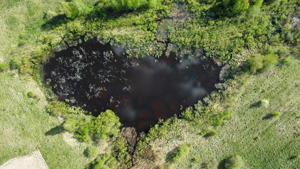 Parduodamas sklypas Kibučių k., Kaišiadorių r. sav., 1410 a ploto 5