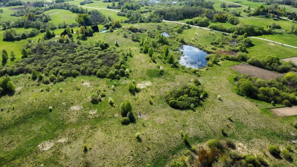 Parduodamas sklypas Kibučių k., Kaišiadorių r. sav., 1410 a ploto 6
