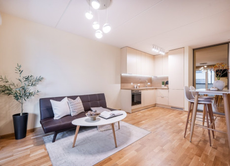 Nuomojamas butas Kernavės g., Šnipiškės, Vilniaus m., Vilniaus m. sav., 40 m2 ploto, 2 kambariai