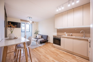 Nuomojamas butas Kernavės g., Šnipiškės, Vilniaus m., Vilniaus m. sav., 40 m2 ploto, 2 kambariai 2