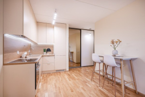 Nuomojamas butas Kernavės g., Šnipiškės, Vilniaus m., Vilniaus m. sav., 40 m2 ploto, 2 kambariai 3