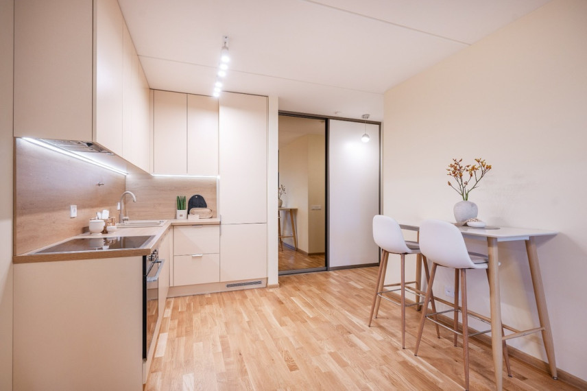 Nuomojamas butas Kernavės g., Šnipiškės, Vilniaus m., Vilniaus m. sav., 40 m2 ploto, 2 kambariai 3