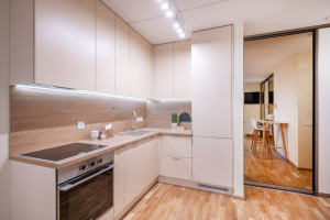 Nuomojamas butas Kernavės g., Šnipiškės, Vilniaus m., Vilniaus m. sav., 40 m2 ploto, 2 kambariai 4