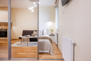 Nuomojamas butas Kernavės g., Šnipiškės, Vilniaus m., Vilniaus m. sav., 40 m2 ploto, 2 kambariai 10