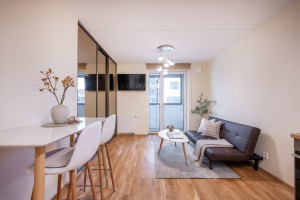 Nuomojamas butas Kernavės g., Šnipiškės, Vilniaus m., Vilniaus m. sav., 40 m2 ploto, 2 kambariai 14