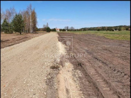 Parduodamas  sklypas Pjaulių k., Klaipėdos r. sav., 10 a ploto 4