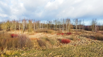 Parduodamas  sklypas J. Polovinsko-Budrio g., Rokai, Kauno m., Kauno m. sav., 30.26 a ploto 4