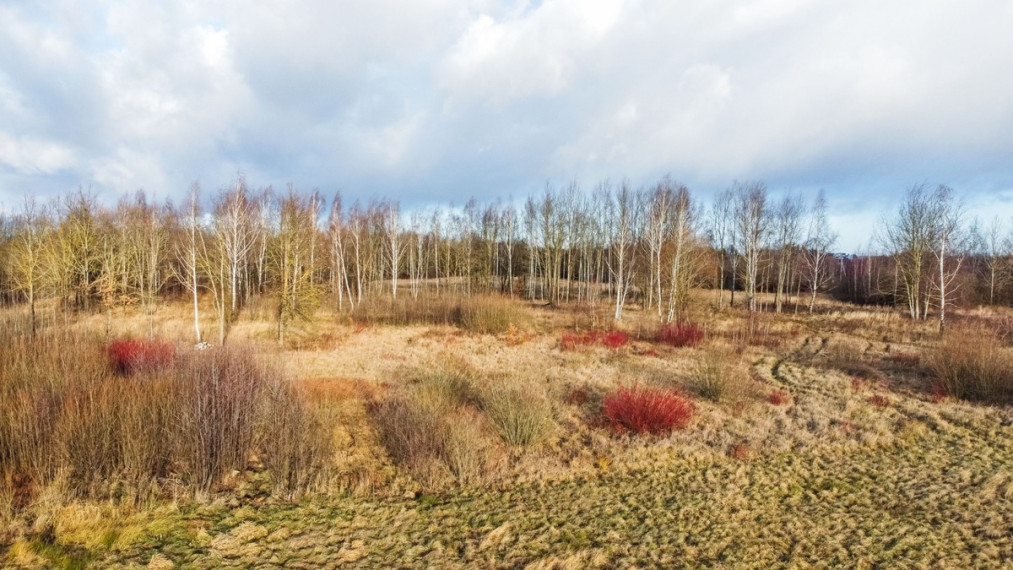Parduodamas sklypas J. Polovinsko-Budrio g., Rokai, Kauno m., Kauno m. sav., 30.26 a ploto 4