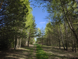 Parduodamas sklypas Pabaldiškio k., Molėtų r. sav., 443.00 a ploto 1