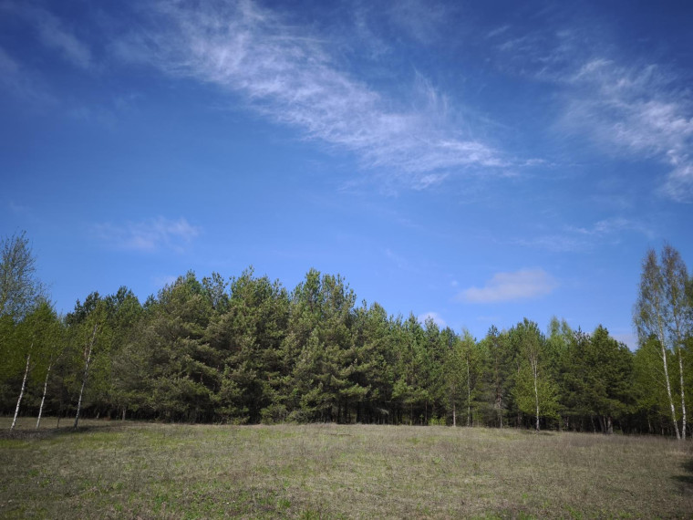 Parduodamas sklypas Pabaldiškio k., Molėtų r. sav., 443.00 a ploto 2