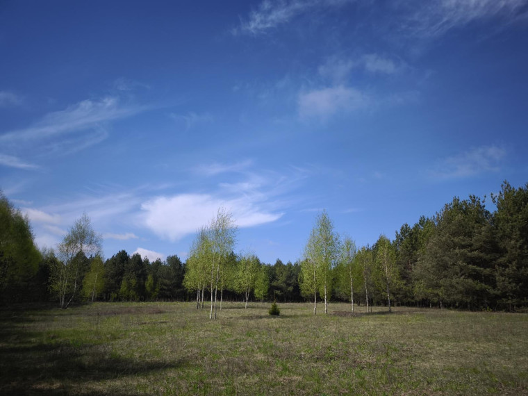 Parduodamas sklypas Pabaldiškio k., Molėtų r. sav., 443.00 a ploto 3