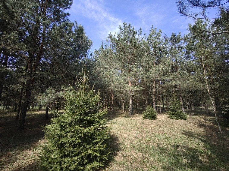 Parduodamas sklypas Pabaldiškio k., Molėtų r. sav., 443.00 a ploto 4