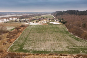 Parduodamas  sklypas Guogų k., Kauno r. sav., 169 a ploto 11