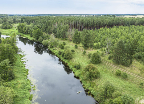 Parduodamas  sklypas Mučiūnų k., Panevėžio r. sav., 200 a ploto