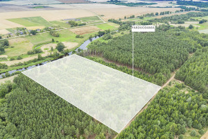 Parduodamas  sklypas Mučiūnų k., Panevėžio r. sav., 200 a ploto 3