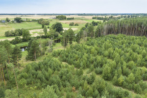 Parduodamas  sklypas Mučiūnų k., Panevėžio r. sav., 200 a ploto 4