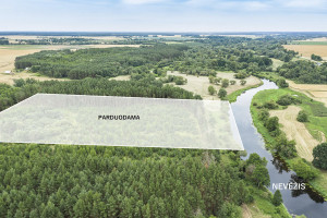 Parduodamas  sklypas Mučiūnų k., Panevėžio r. sav., 200 a ploto 5